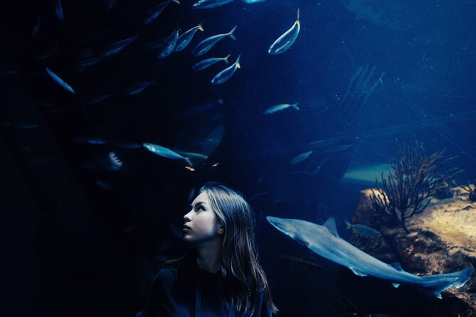 Burj Khalifa at the Top With Dubai Aquarium Combo Ticket - Good To Know