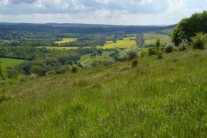 Butterflies and Orchids of the North Downs - Good To Know