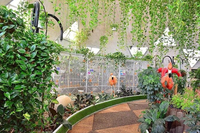 Butterfly Garden Ticket Skip the Line With Transportation - Good To Know