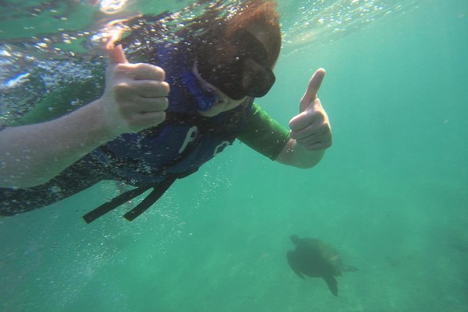 Cabo Rosa (Tuneles) Hiking & Snorkeling Tour From Isabela - Good To Know