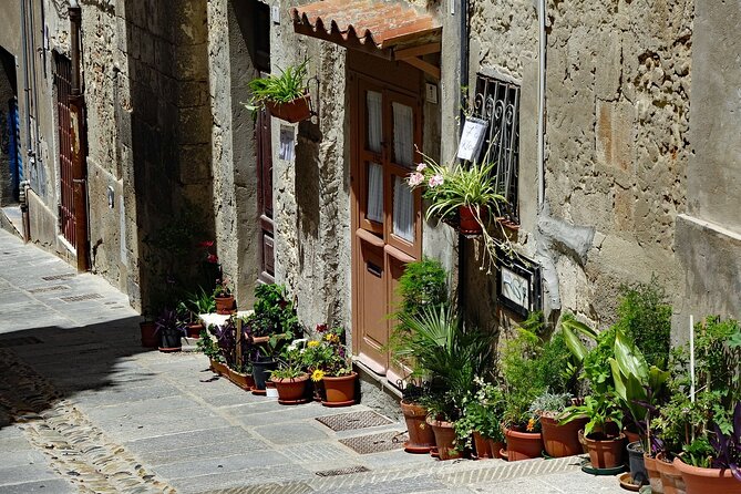 Cagliari Private Walking Tour With A Professional Guide - Tour Overview