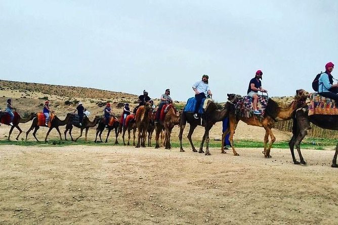 Camel Excursion on the Road to Ourika From Marrakech - Good To Know