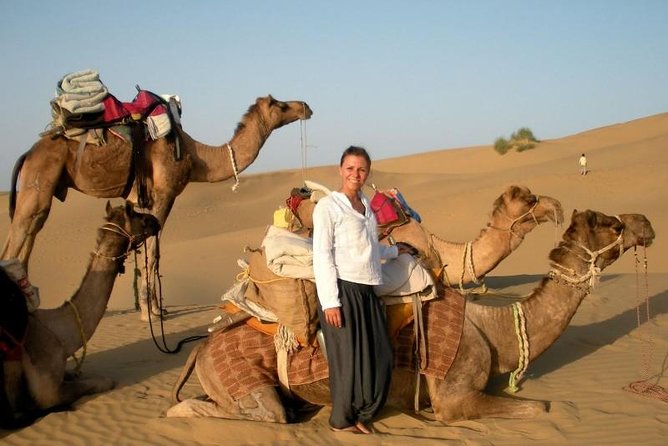 Camel & Horse Ride at the Great Giza Pyramids - Good To Know