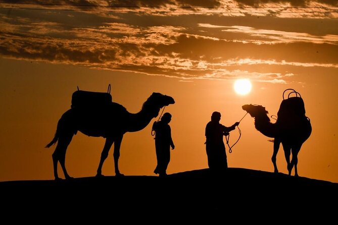 Camel Ride Desert Experience - Good To Know