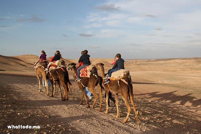 Camel Ride in Agafay Desert From Marrakech - Good To Know
