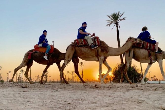 Camel Ride in the Sunset - Good To Know