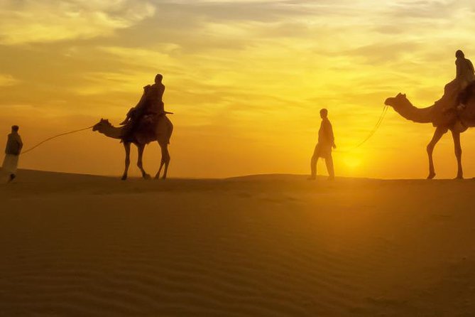Camel Ride With Dinner in Marrakech Desert - Good To Know
