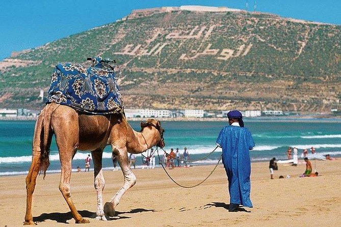 Camel Riding Experience in Agadir