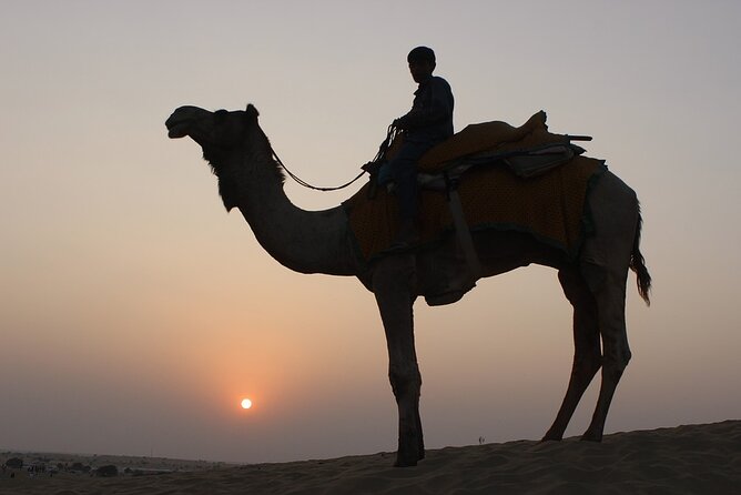 Camel Safari at Osian With Exclusive Dinner From Jodhpur - Good To Know