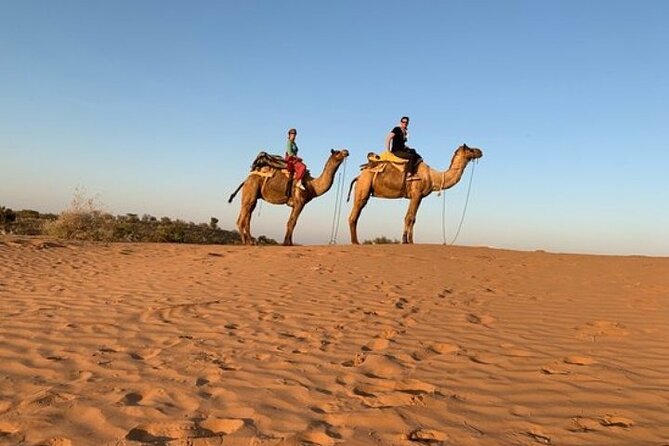 Camel Safari Day Trip From Jodhpur - Good To Know