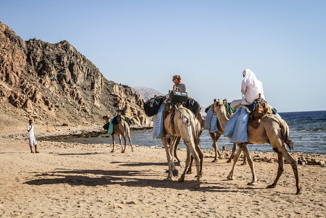 Camel Trek Desert and Beach Experience Private Tour in Dahab - Good To Know