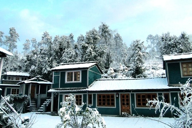 Camping in Binsar, Uttarakhand - Good To Know