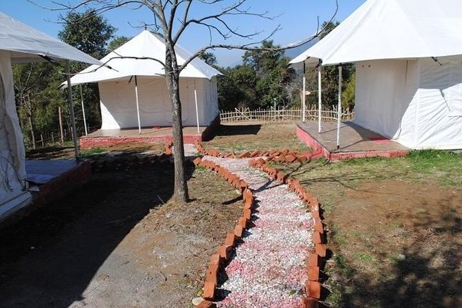 Camping in Bir Biling With Swiss Tent Stay - Good To Know