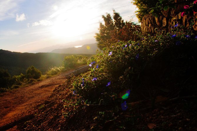 Camping in Knuckles Peak Trail (Private 1-Night) - Good To Know