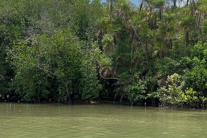 Can Gio Mangrove Forest And Thanh An Island Private Tour - Good To Know