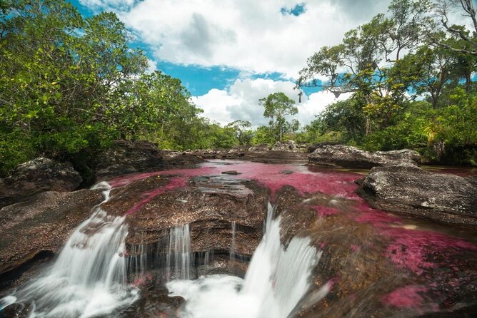 Caño Cristales Private 3-Day Trekking Tour From Bogota - Good To Know