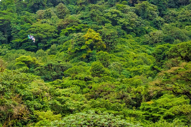 Canopy Adventure From Monteverde - Location: Monteverde, Costa Rica