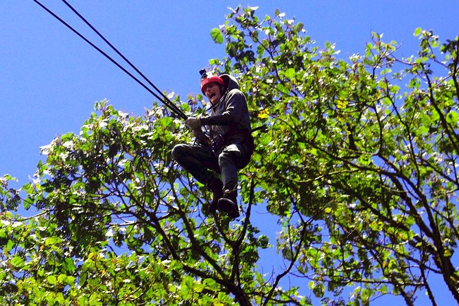 Canopy Tour Plus Night Walk - Good To Know
