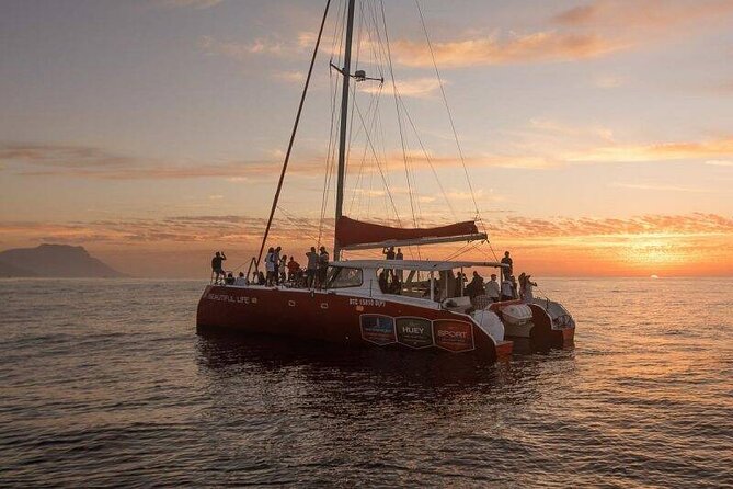 Cape Town City Tour With Paragliding and Sunset Cruise - Good To Know