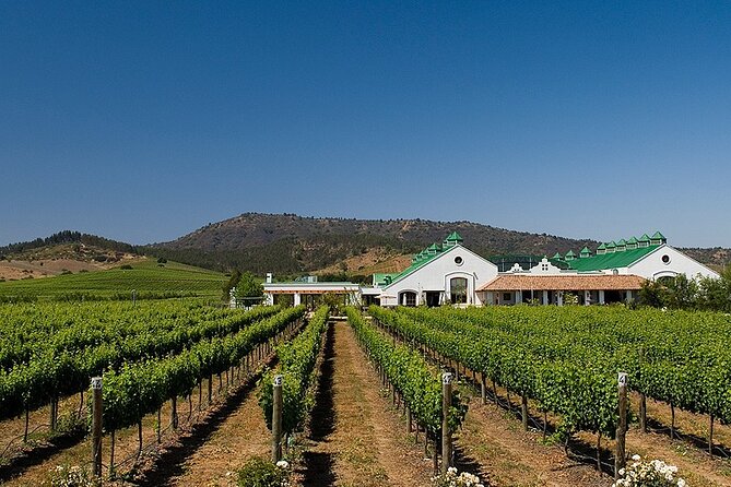 Casas Del Bosque Vineyard With Lunch Menu Included From Santiago - Good To Know
