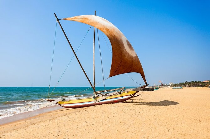 Catamaran Sunset Sailing in Trincomalee - What To Expect