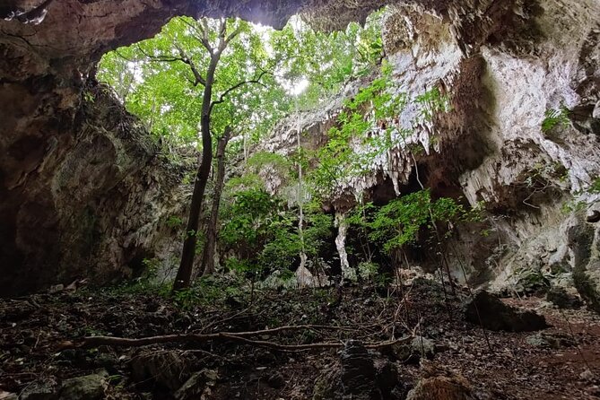 Caves of La Cobanerita + El Chechenal Beach: A Day Between Nature & Mysticism - Good To Know