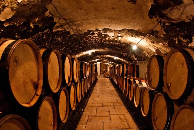 Champagne Region Excursion From Paris With Private Driver - Good To Know