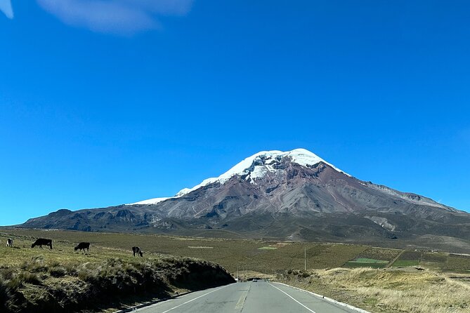 Chimborazo Volcano Tour, Private and Shared - Good To Know
