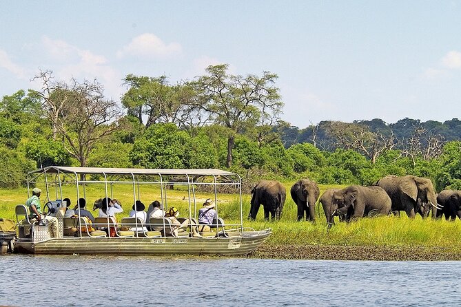 Chobe Day Trip From Livingstone - Good To Know