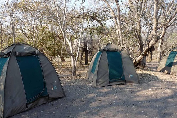 Chobe National Park Camping Safari From Victoria Falls (2 Days and 2 Nights) - Good To Know