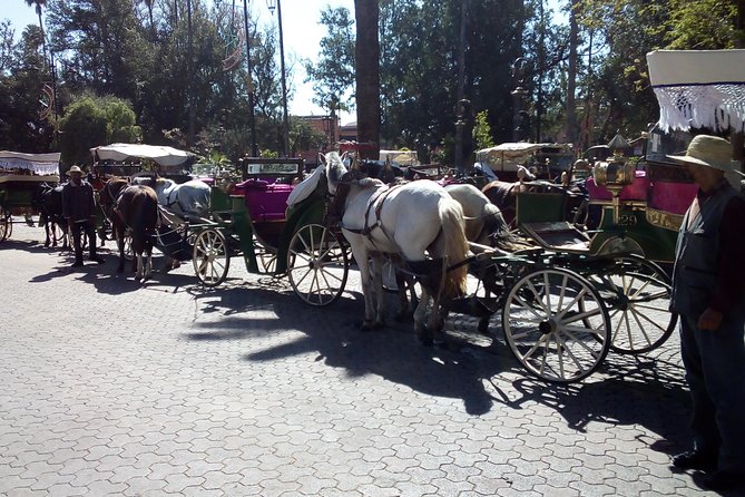 City Sightseeing Marrakech - Good To Know