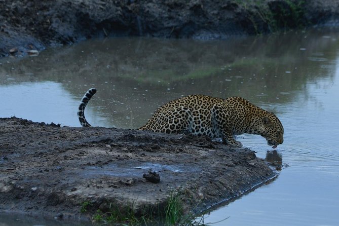 Classic Kenya Explore Safari 2022 - Good To Know