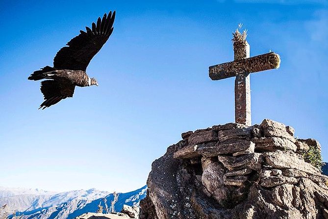 Classic Trekking to the Colca Canyon (3d - 2n) - Overview of Colca Canyon Trek
