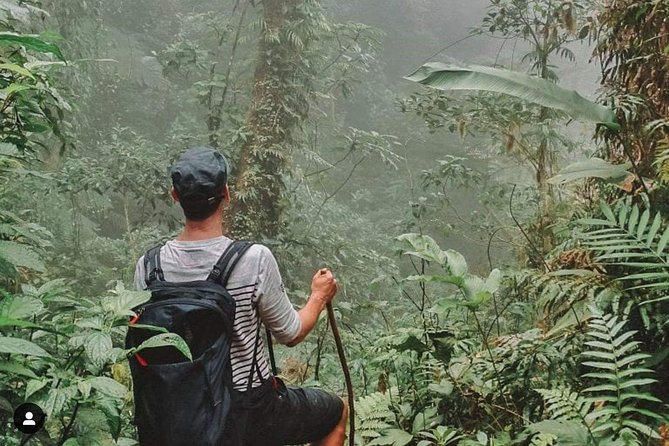 Climbing the Volcano Woods in Ometepe - Good To Know