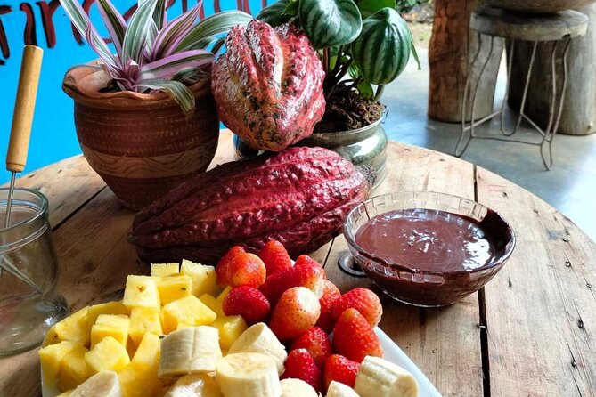 Cocoa and Chocolate Tour in San Rafael From Medellín - Good To Know