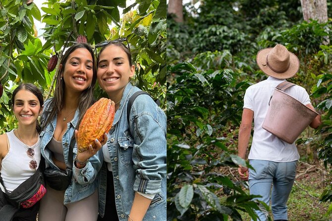 Cocoa (Chocolate) and Coffee Tours From Pereira or Armenia - Good To Know
