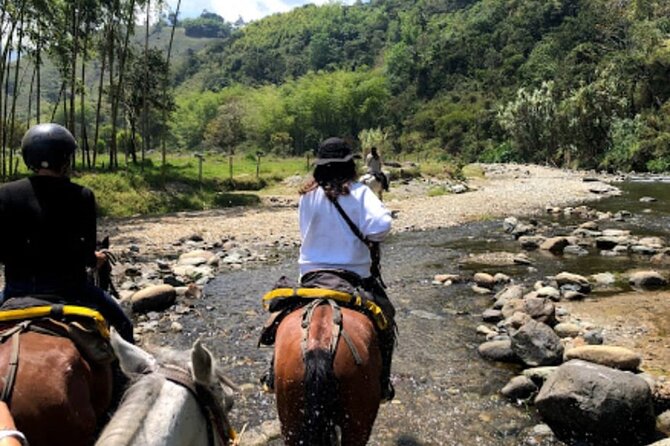 Cocora Valley and Salento Horseback Riding Day Tour