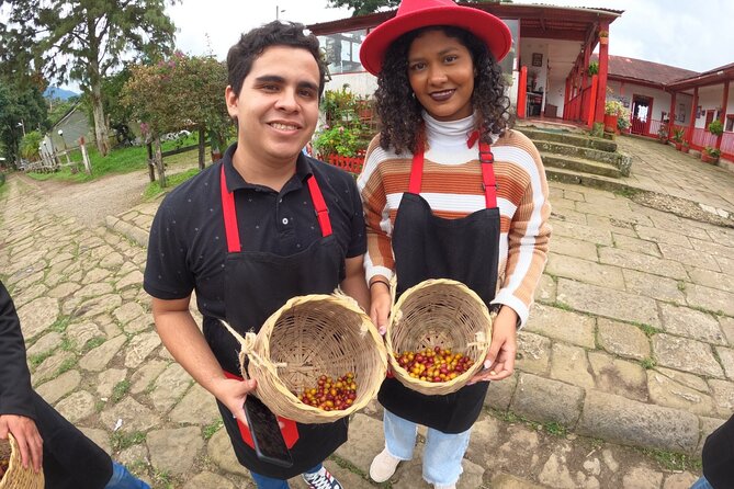 Coffee Farm - Group Tour and Daily Departure - Good To Know