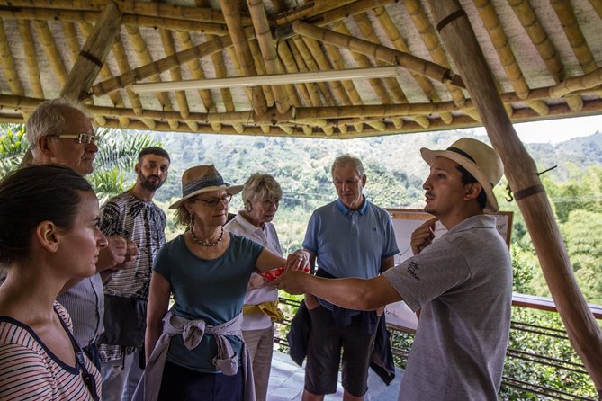 Coffee Tour at Hacienda Venecia Near Salento - Good To Know