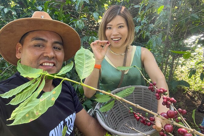 Coffee Tour Near the Agua Volcano With Tasting - Good To Know