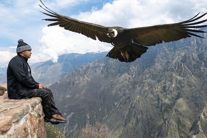 Colca Canyon Full Day Arequipa - Good To Know