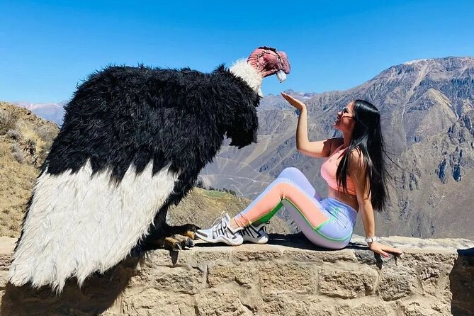 Colca Canyon Full Day Exploration - Good To Know