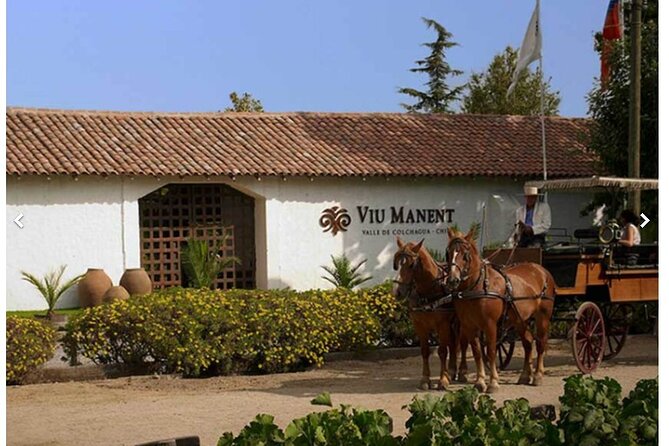 Colchagua Premium Wine Tour From Santiago - Good To Know