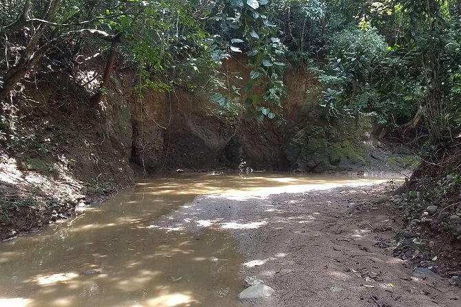 Colorados - Palenque - Good To Know