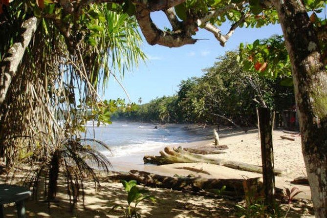 Combo Tour: Tortuguero Canal & Cahuita National Park - Good To Know
