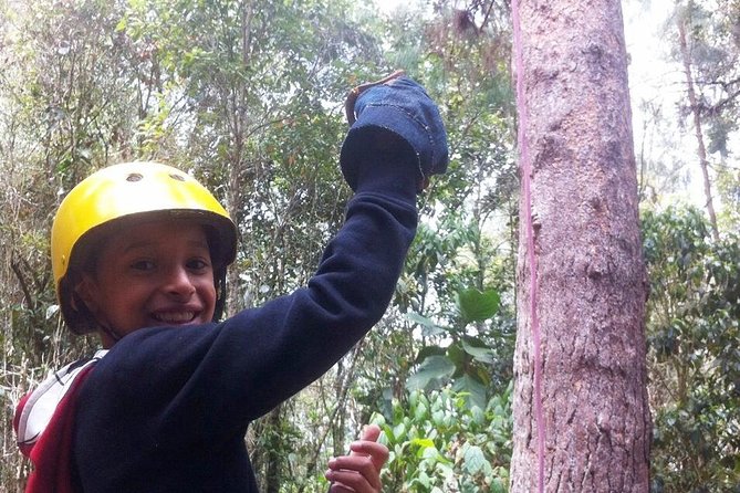 Combo Tour: Zip Lines Adventure and Christmas Lights Tour of Medellin - Good To Know