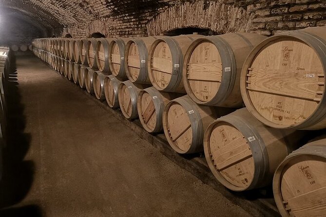 Concha Y Toro Extended Tour With 7 Tastings Plus Lapis Lazuli - Good To Know