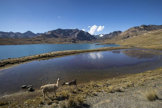 CONDORIRI Mountain Range and Lagoons Full Day Trekking. Spanish Guide. - Good To Know