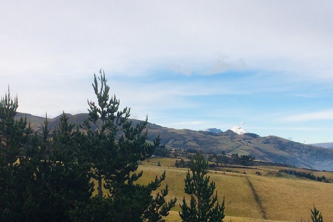Cooking Class at the Andes & Roses: PRIVATE Day Trip From Quito