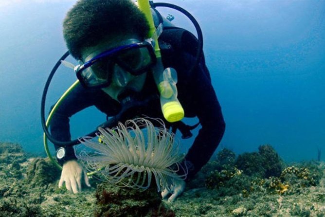 Costa Diving Tour - Machalilla National Park - Good To Know